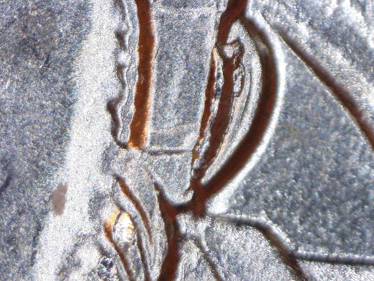 161117193213417.jpg
