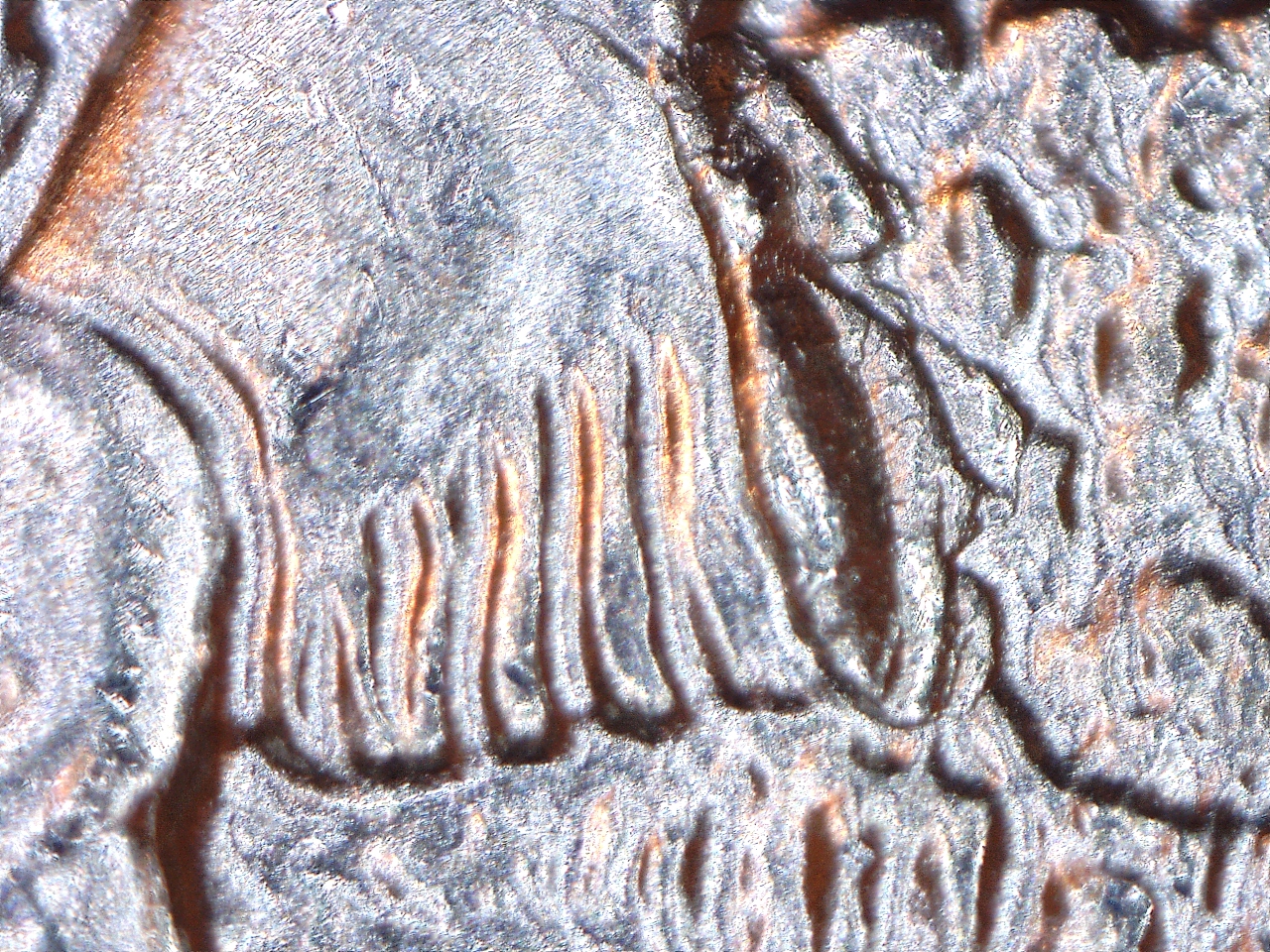16111719736182.jpg
