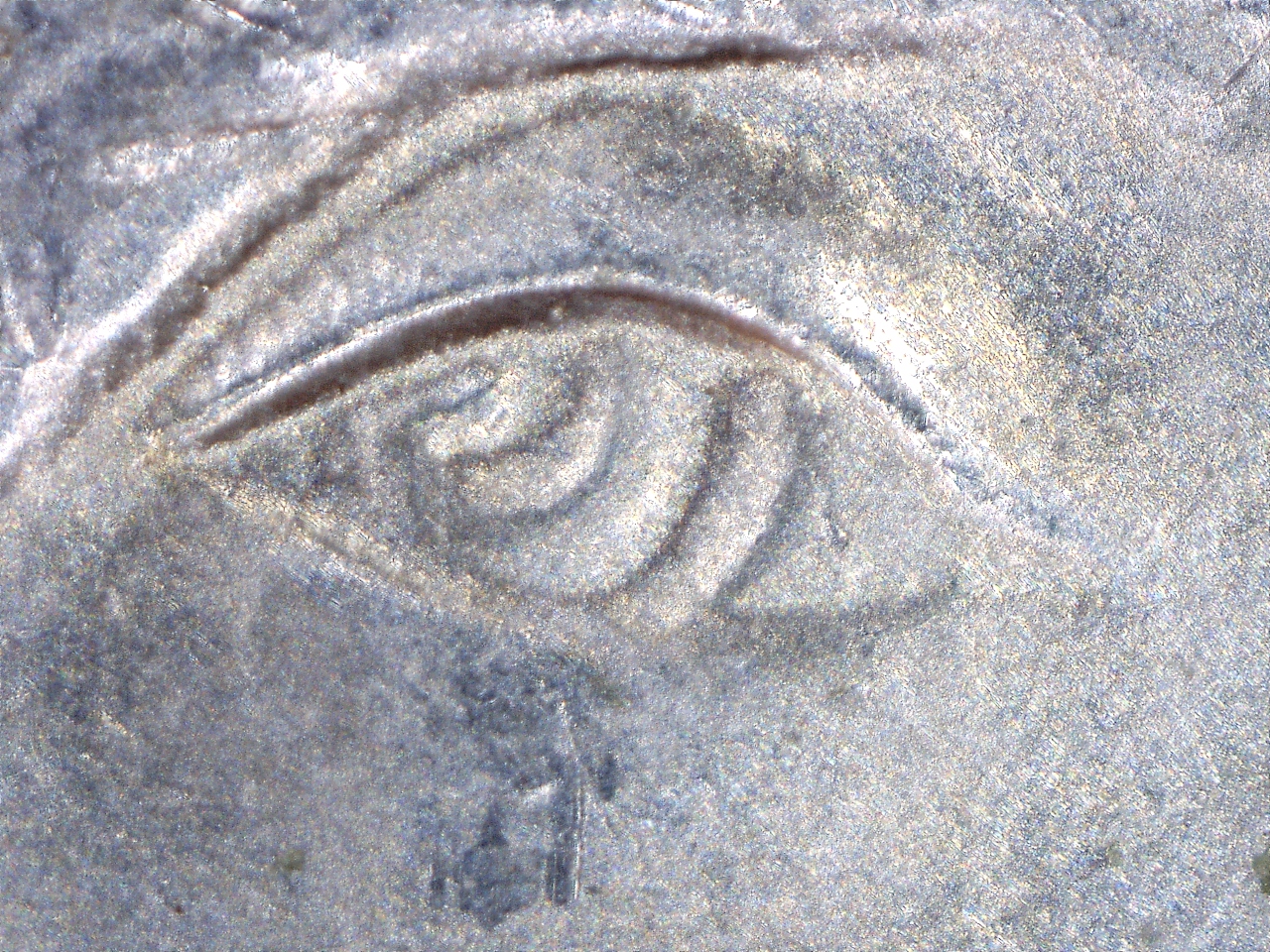 16112793616897.jpg