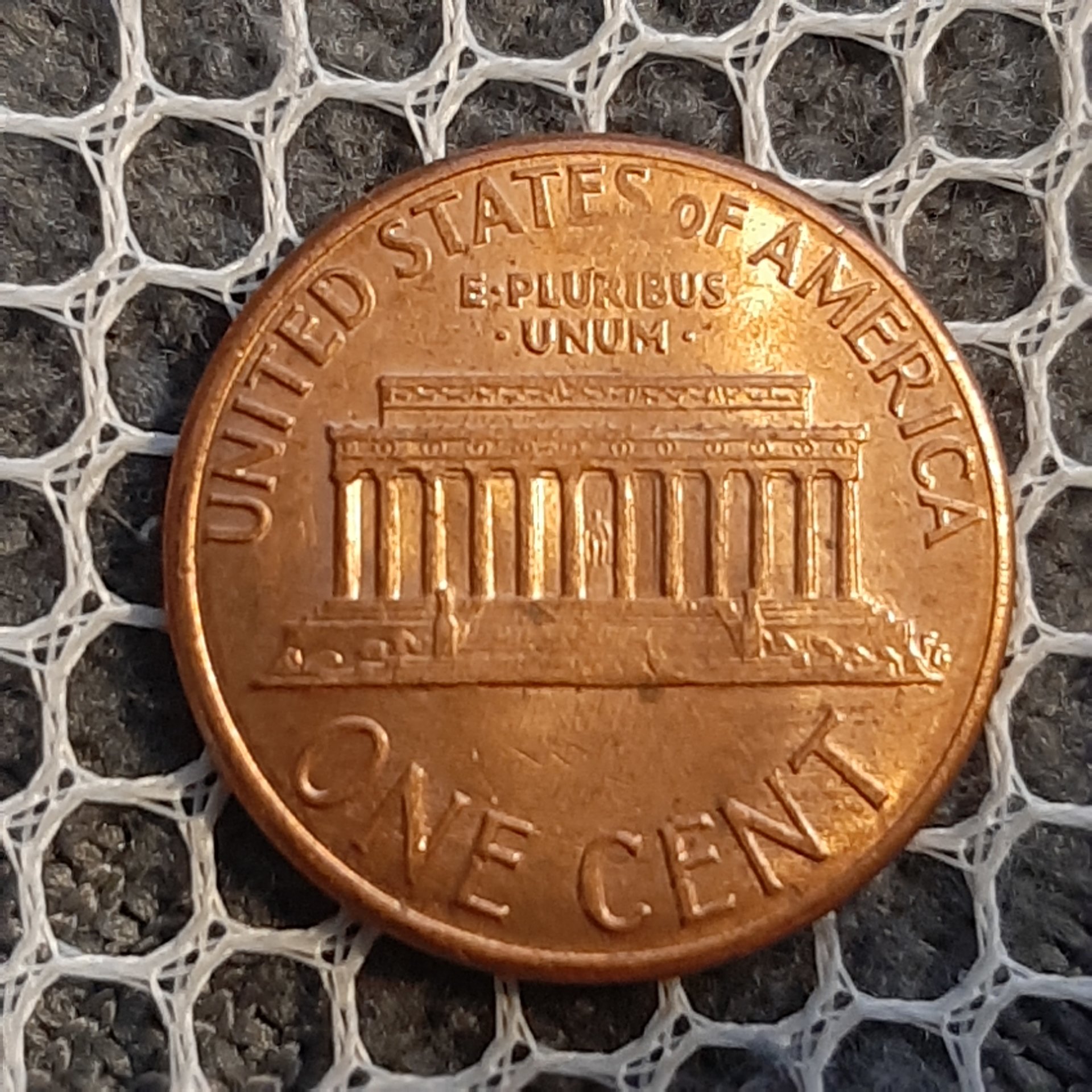 16116855618581658948473755629855.jpg