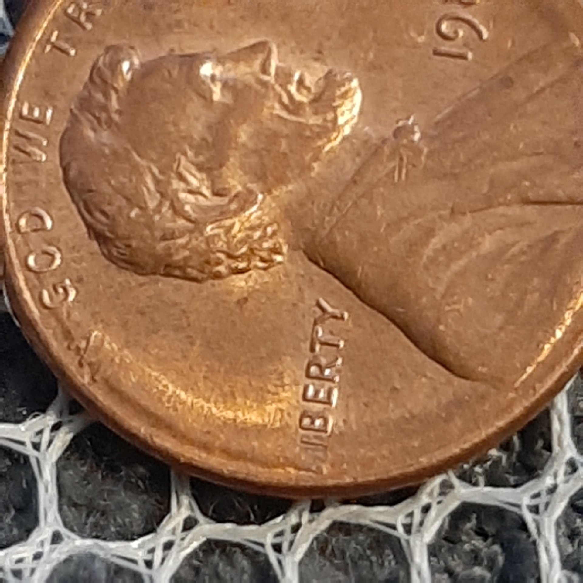 16116855878735007082029440642534.jpg