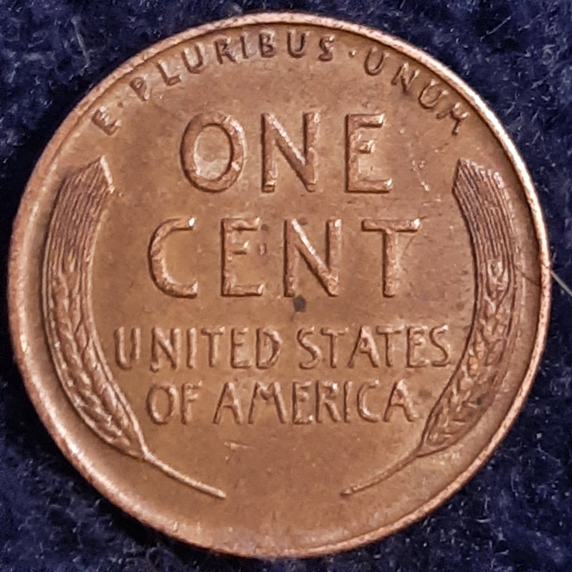 16119388750341701198920128564602.jpg