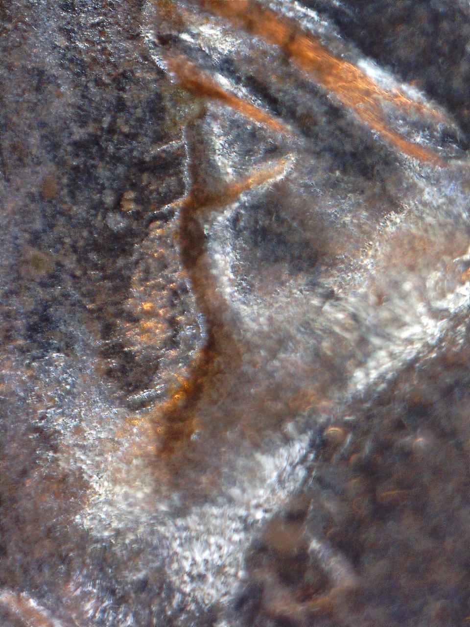 161211135246511.jpg