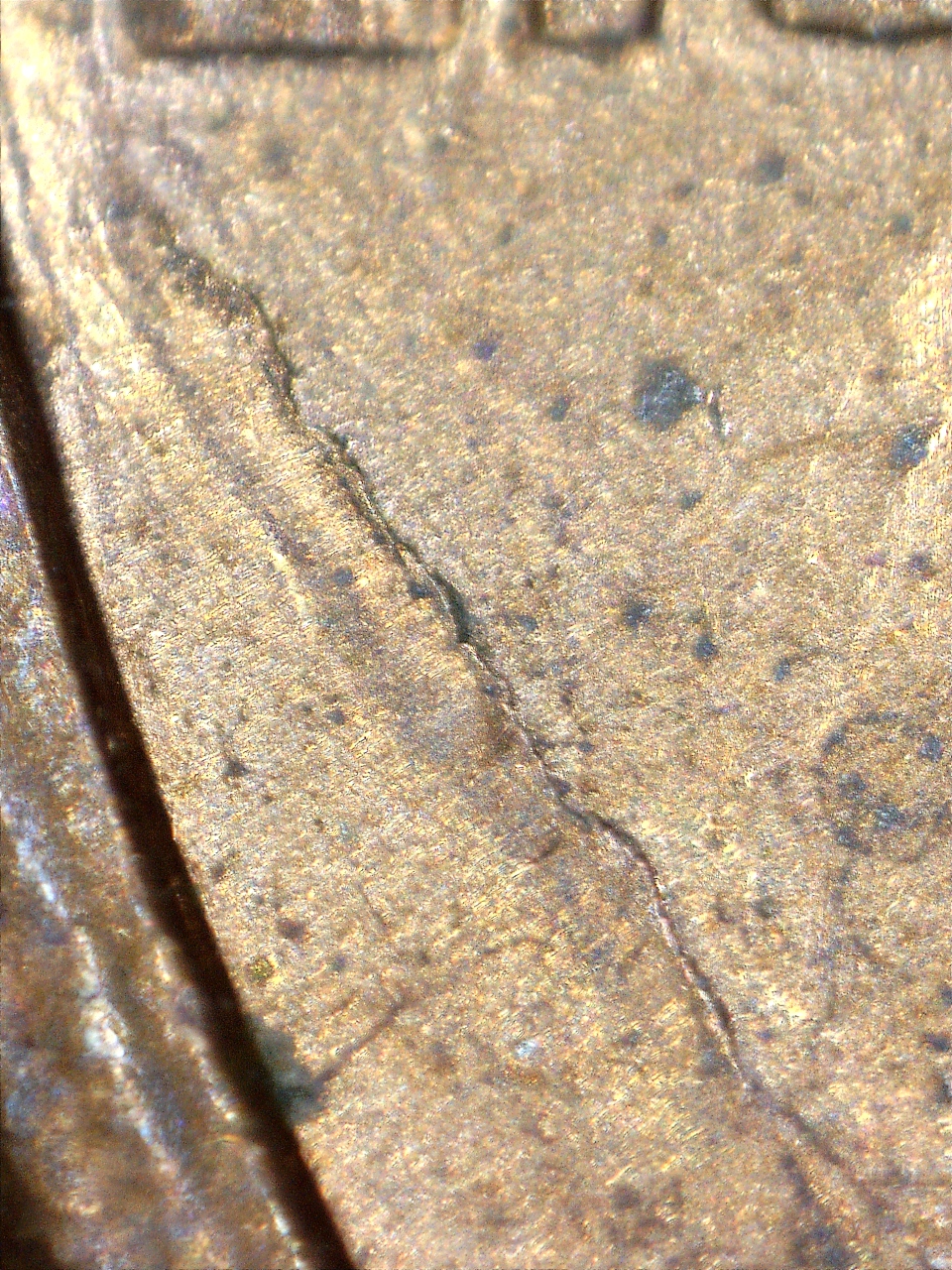 161220195520601.jpg