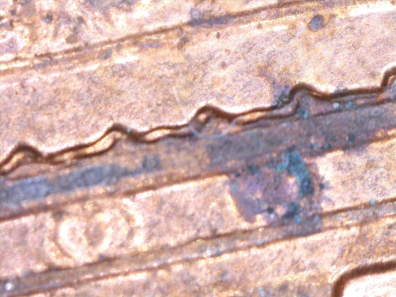 16123114937111.jpg