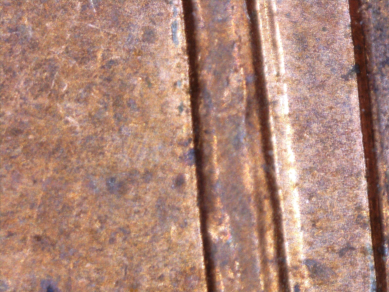 16123115032528.jpg