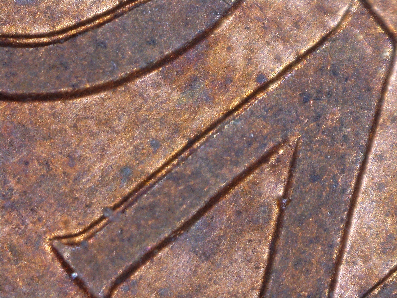 1612312247953.jpg