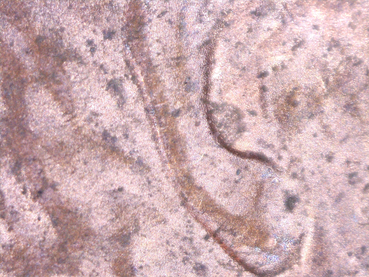 16124164821304.jpg