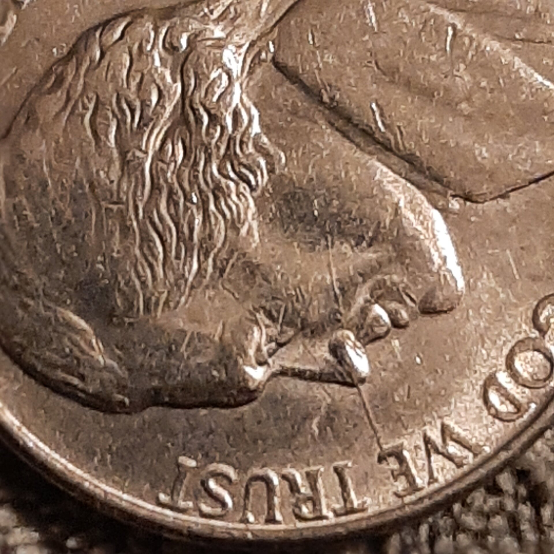 16142121105754503995373186564731.jpg