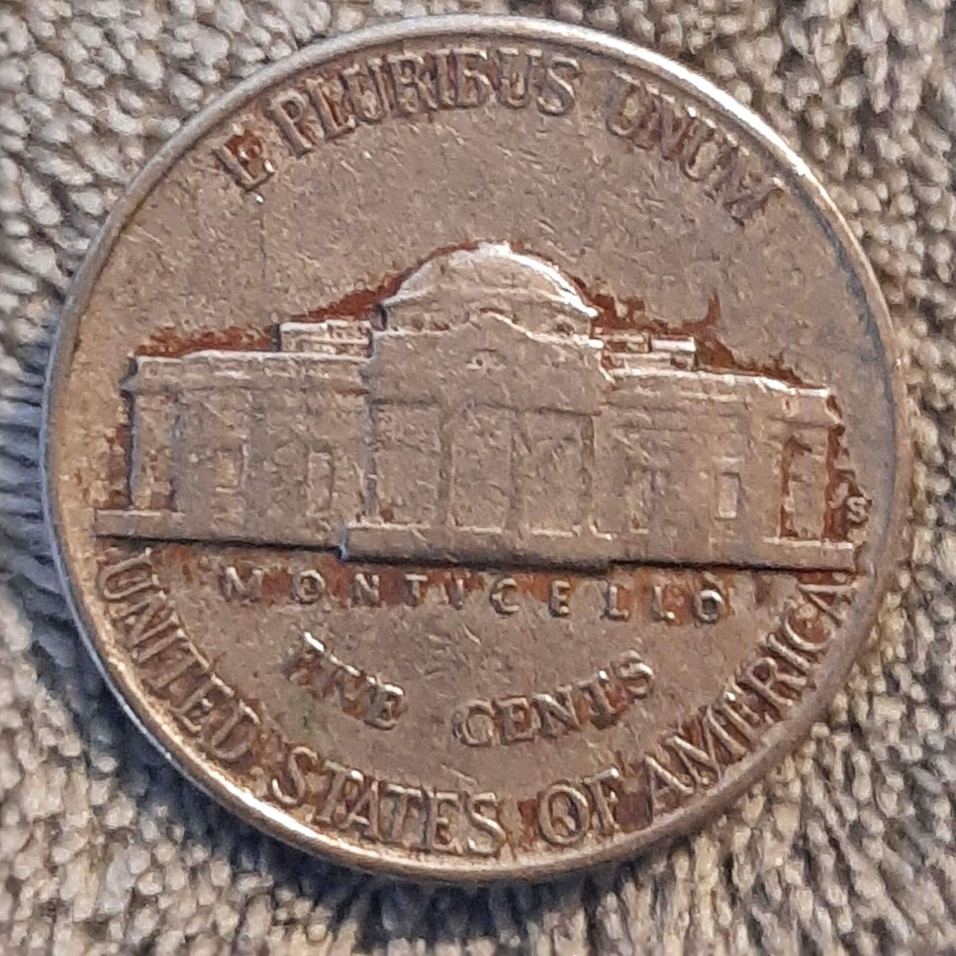 16145219581386549565836994362450.jpg