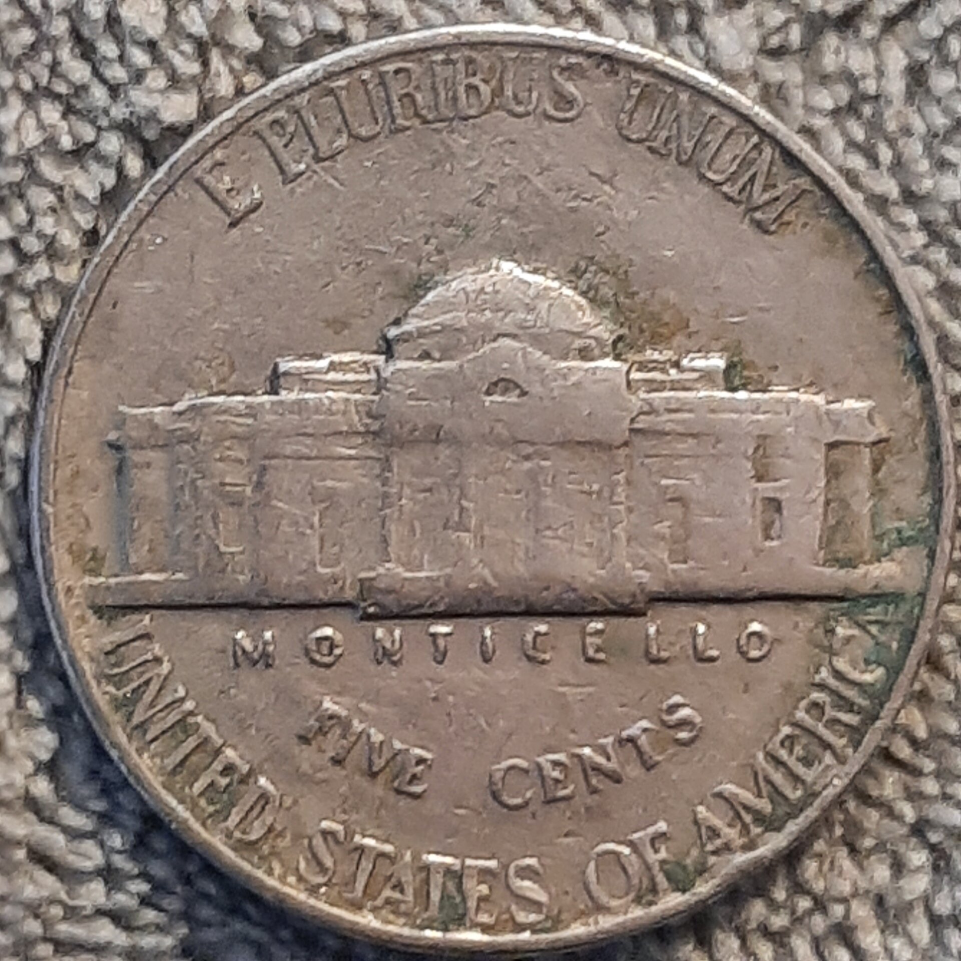 16145233867575482530029499628251.jpg