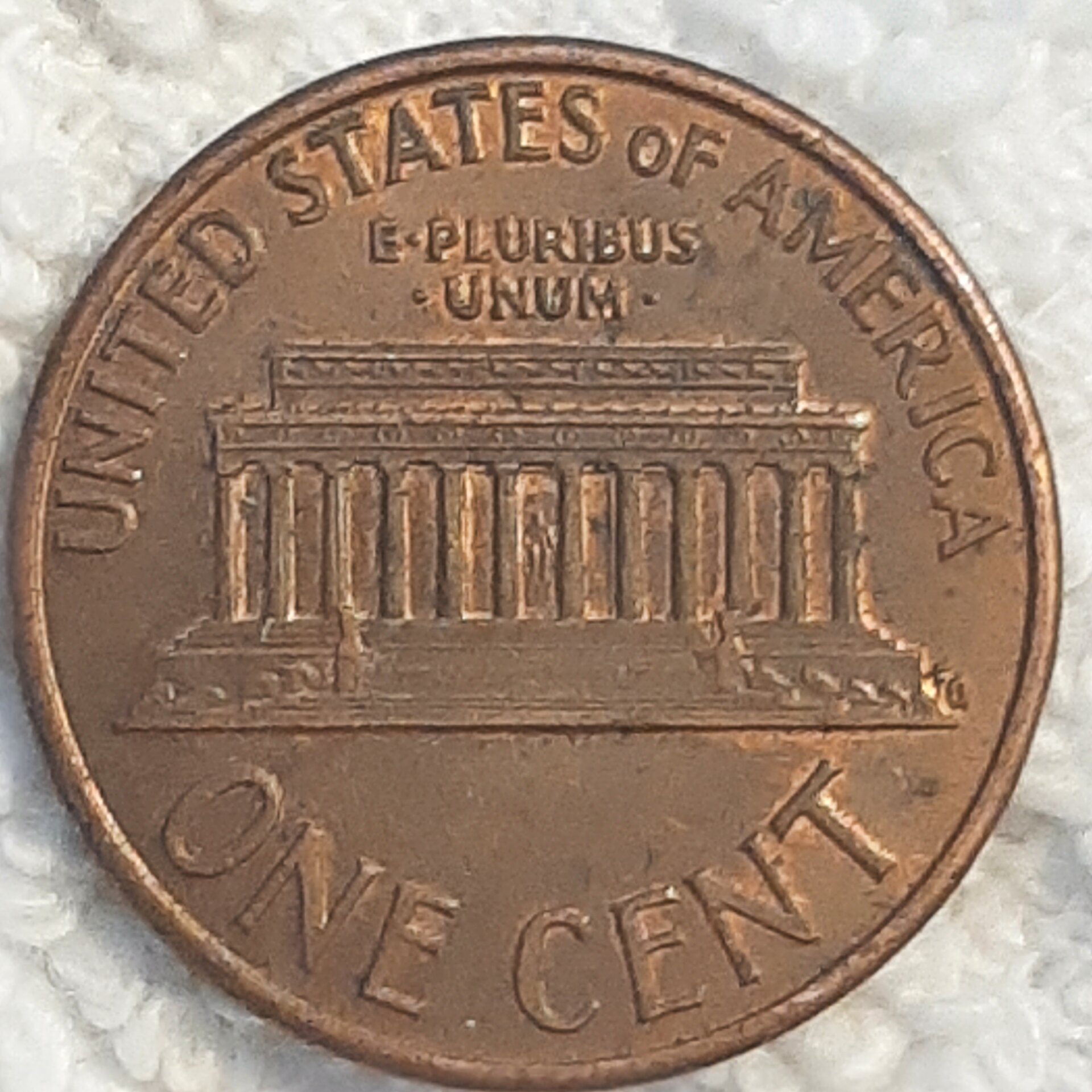16151496859261917357105698785137.jpg