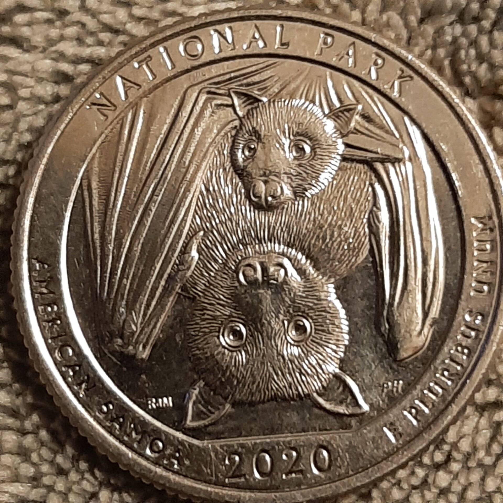16157677019912269153689276110058.jpg