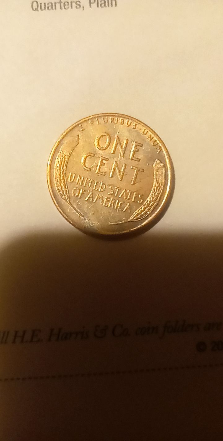 1617411454108.jpg