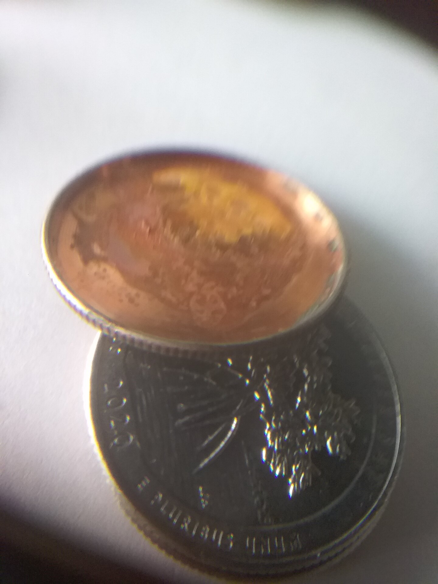 16199801428283492555175391711215.jpg