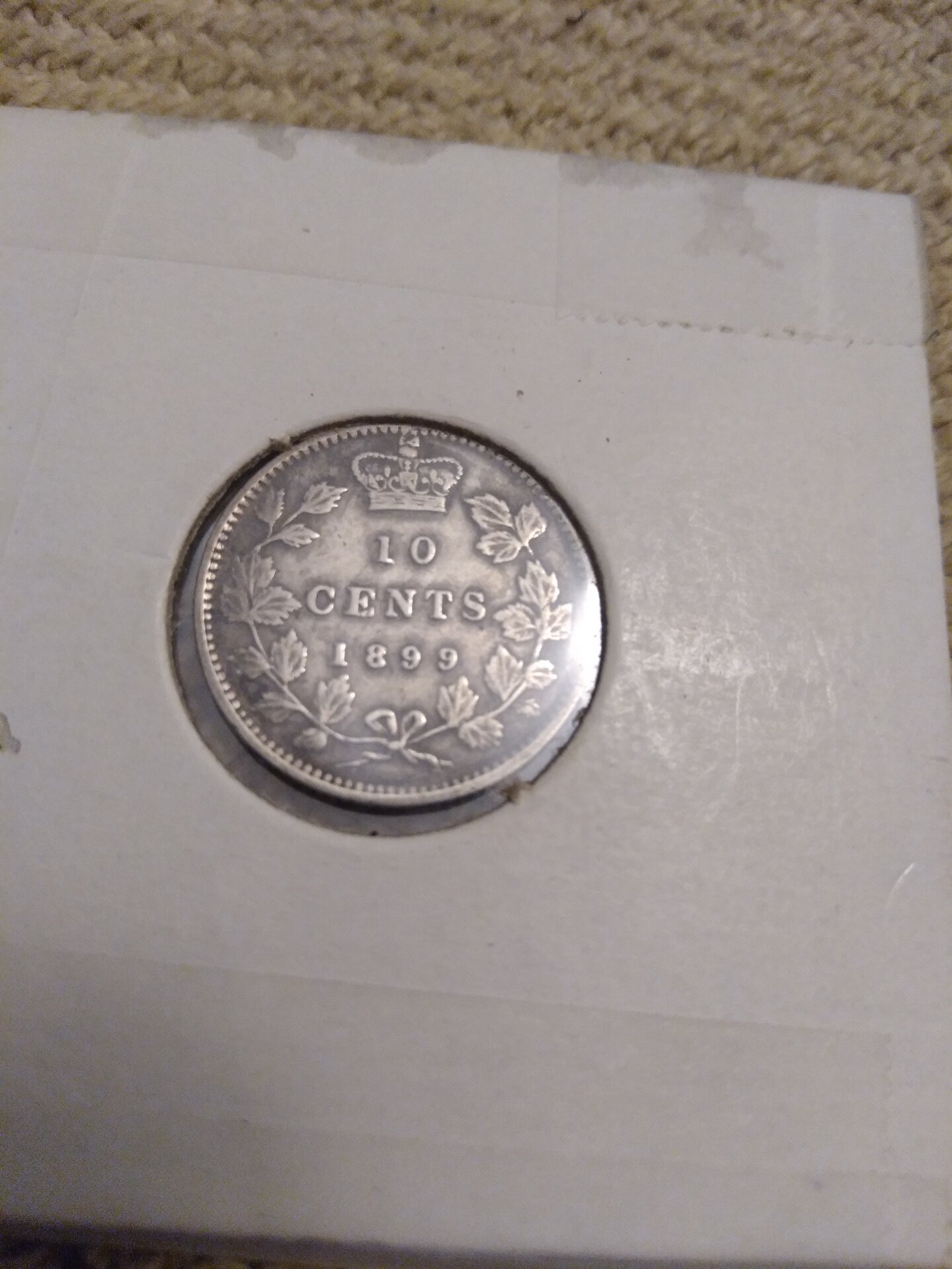 16231195387967581718949840788518.jpg