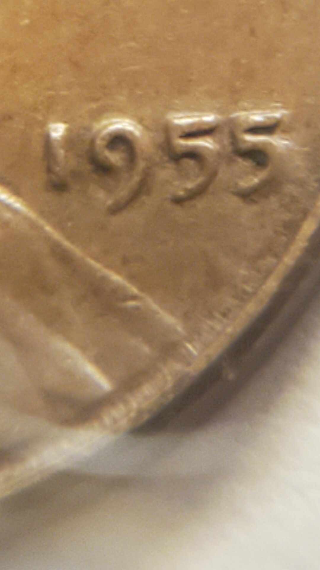 16271989331888759367468622468809.jpg