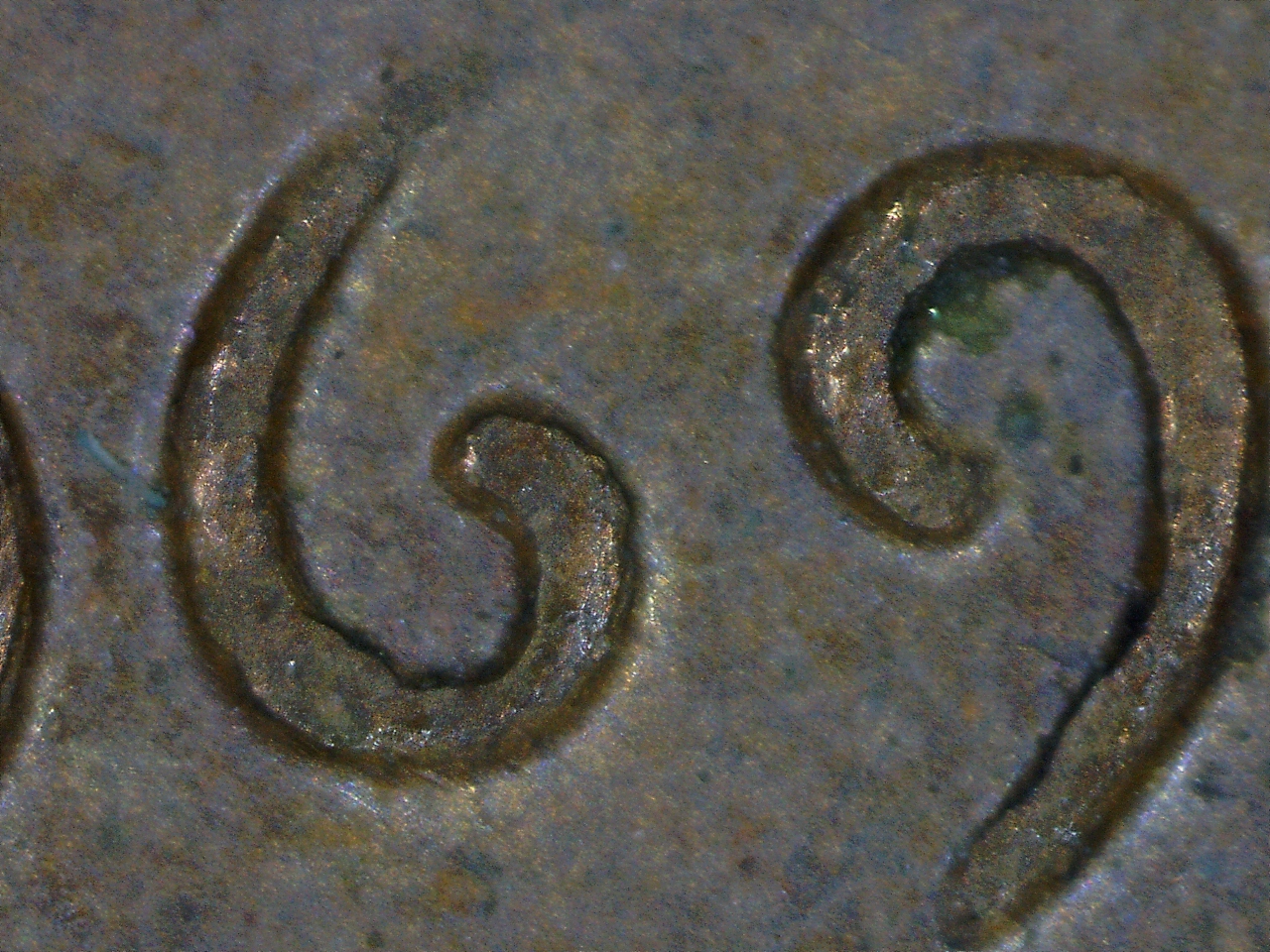 1632017018900.jpg