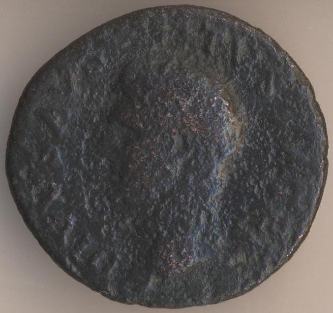 164.jpg