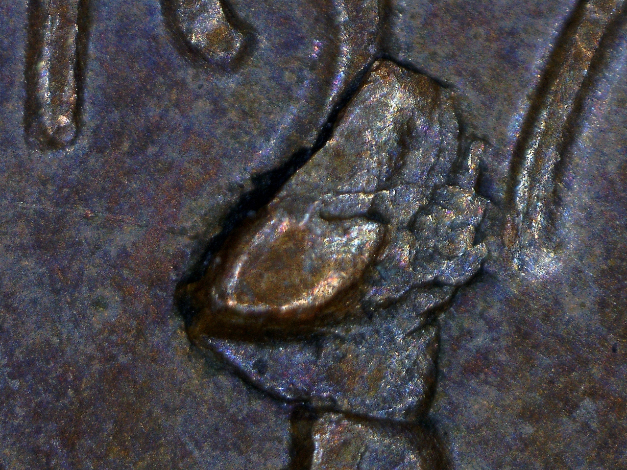 16428192155147.jpg