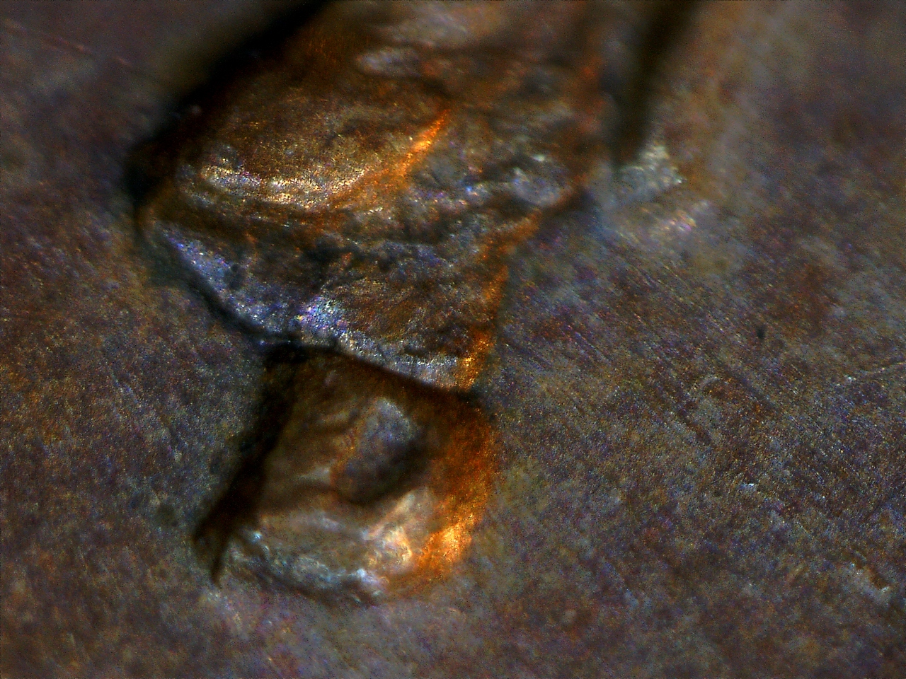 1642820041277.jpg