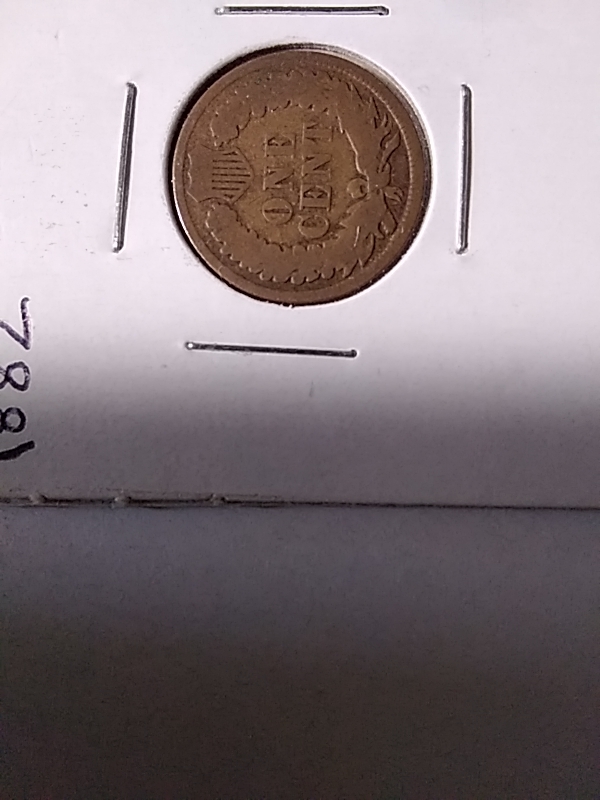 16514377356731104024409951296295.jpg