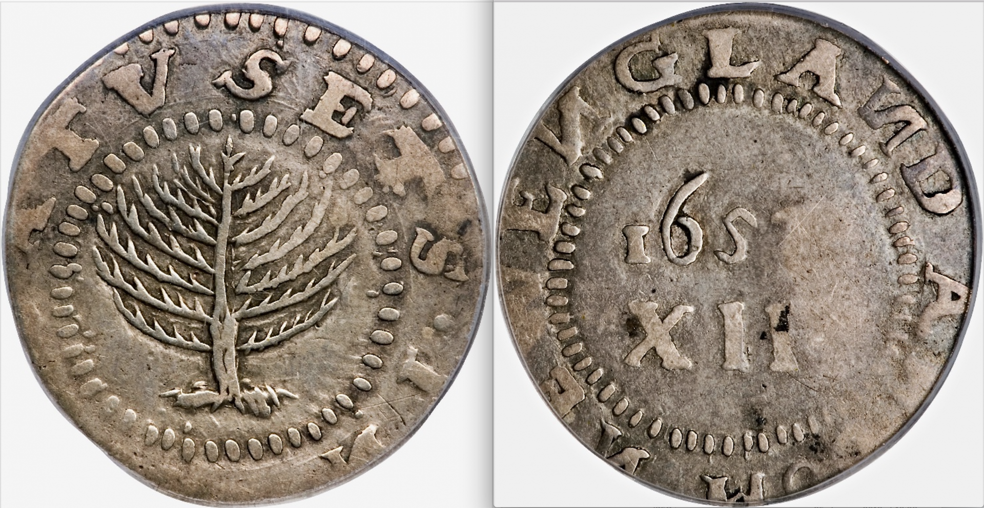 1652 Massachusetts Pine Tree Shilling OBV:REV - VGP .png