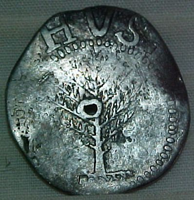 1652PineTrSh1o.JPG