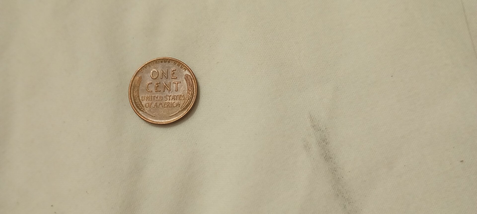 16598935646426818248420152628901.jpg