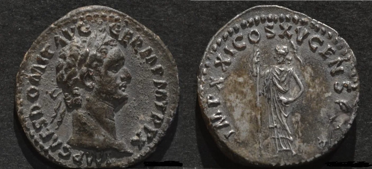166198090dom1a.jpg
