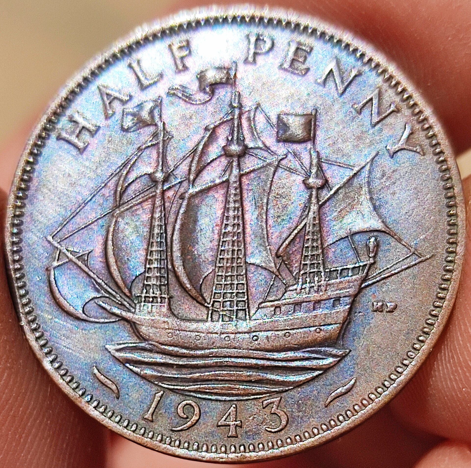1663510494682.jpg