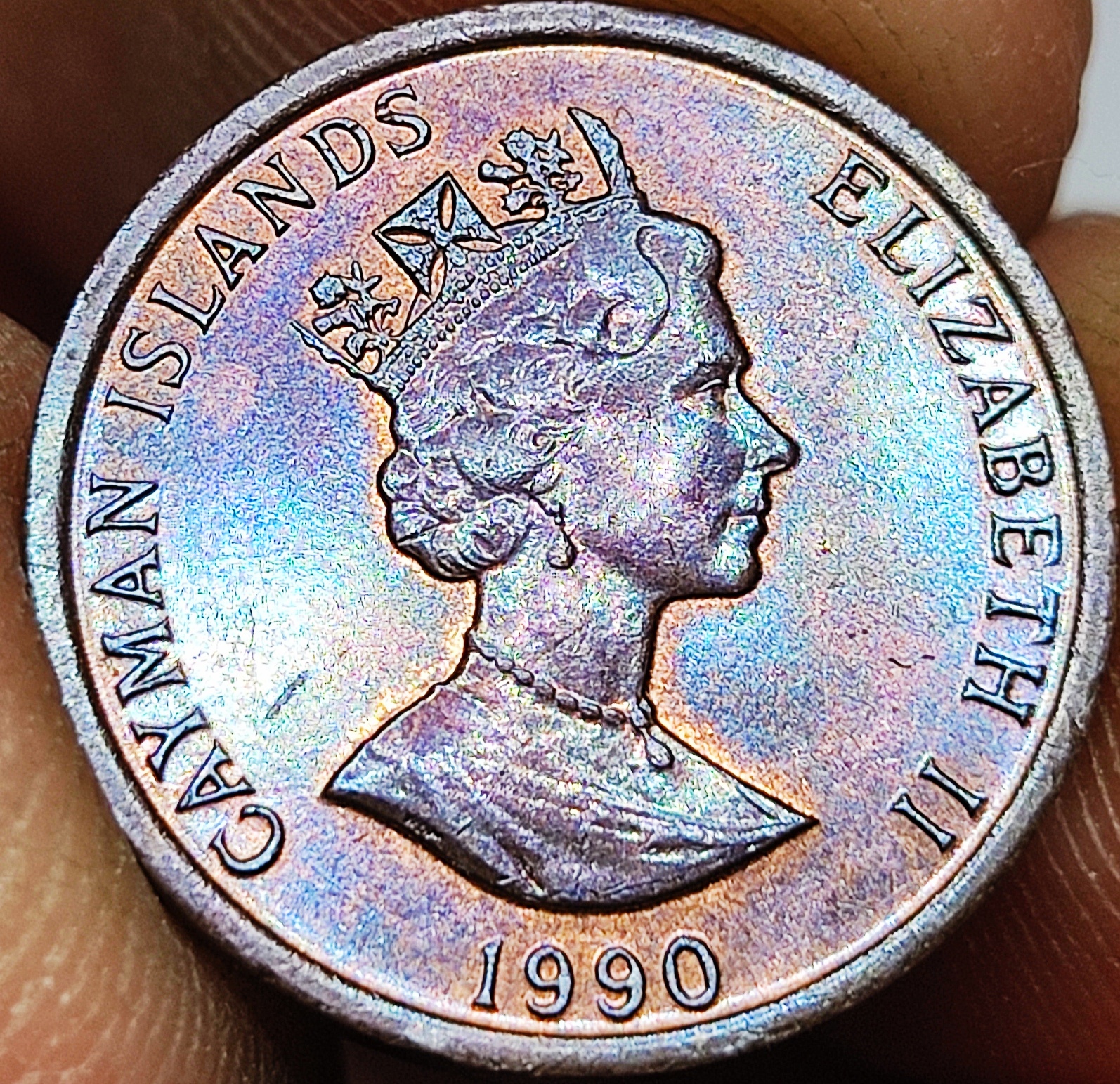 1663510494691.jpg