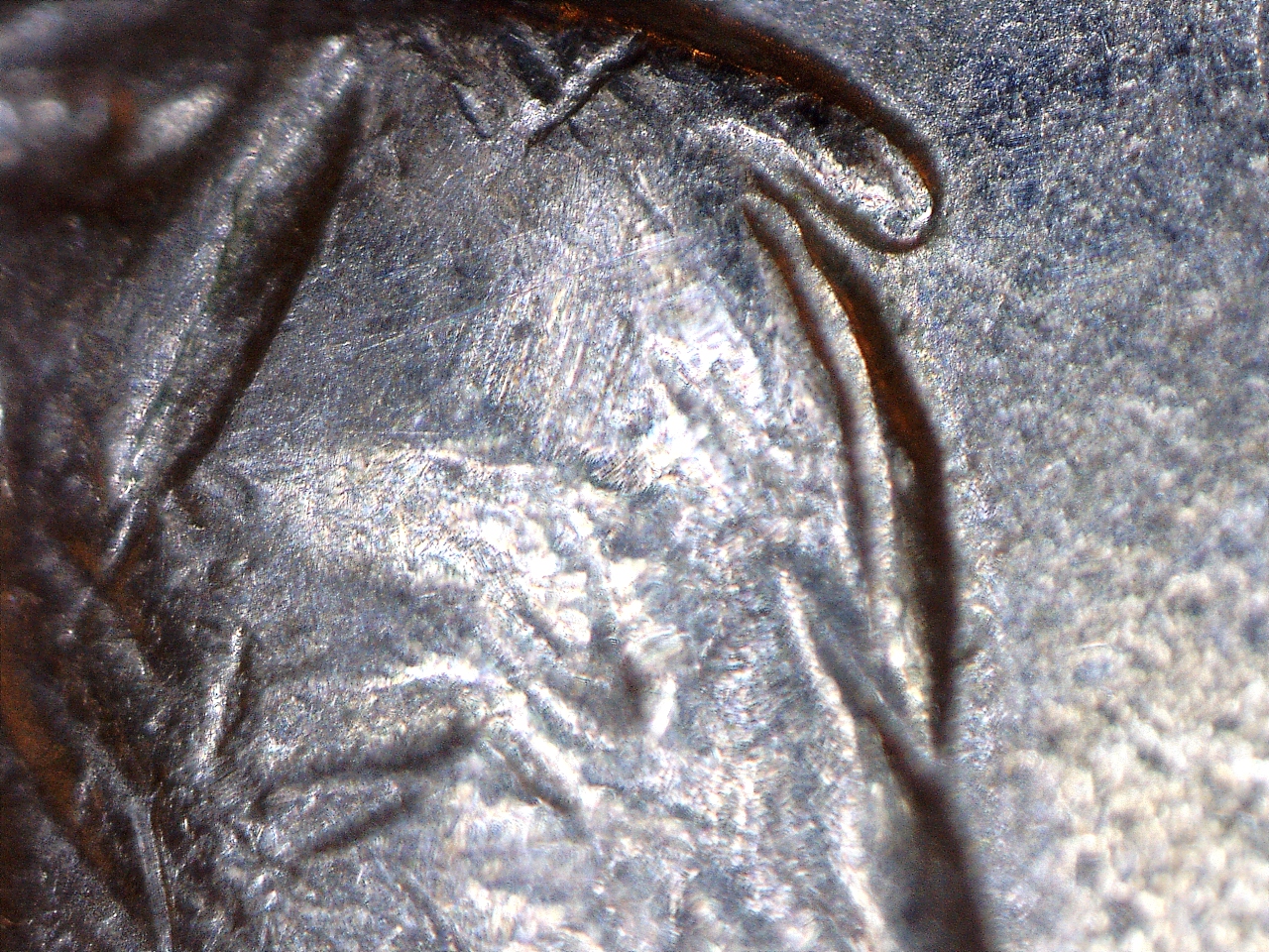1664172857560.jpg