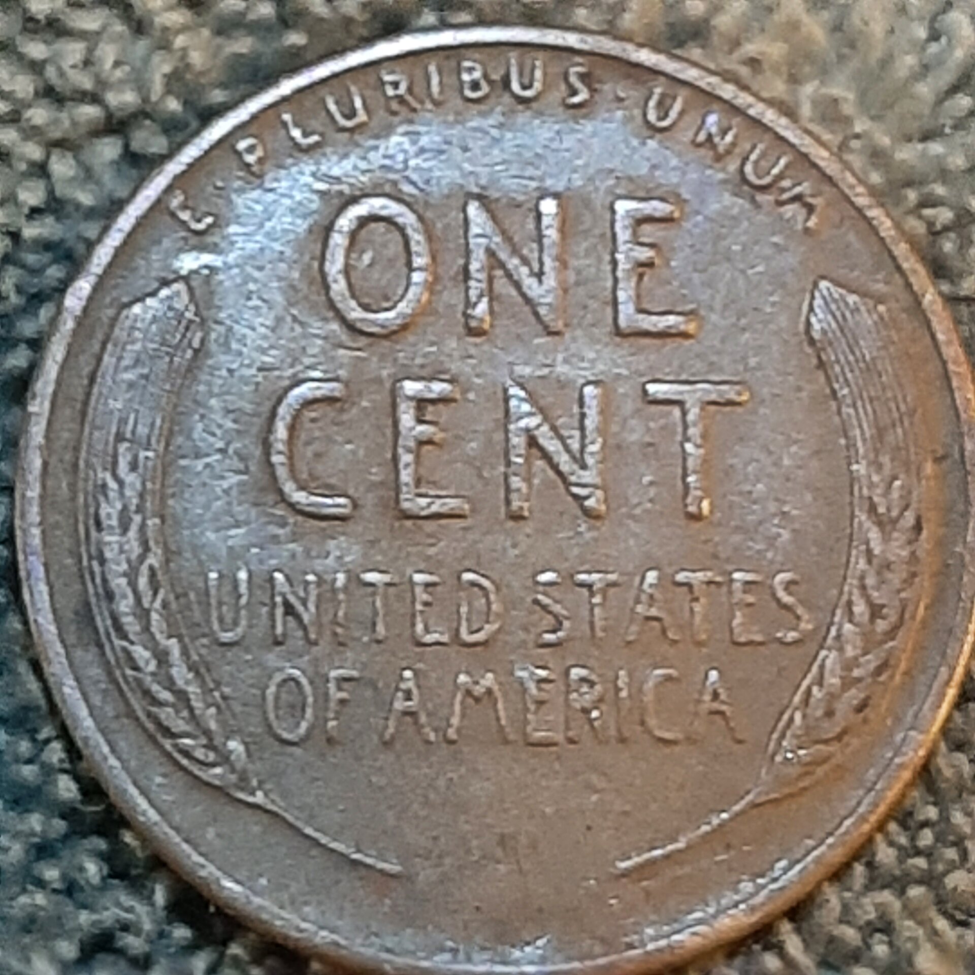 16654323266195144583385553294414.jpg