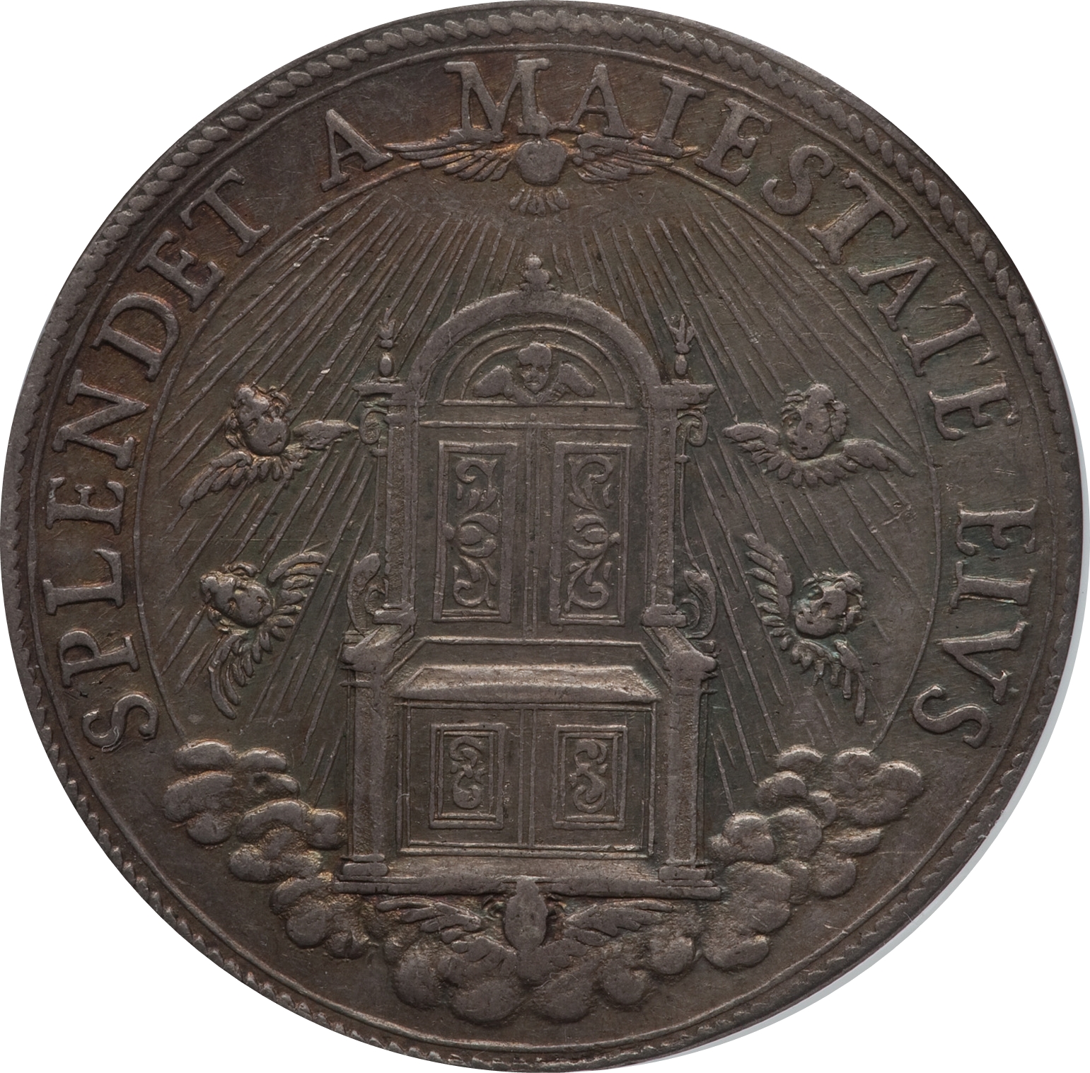 1667-piastra-au55-rev2.jpg