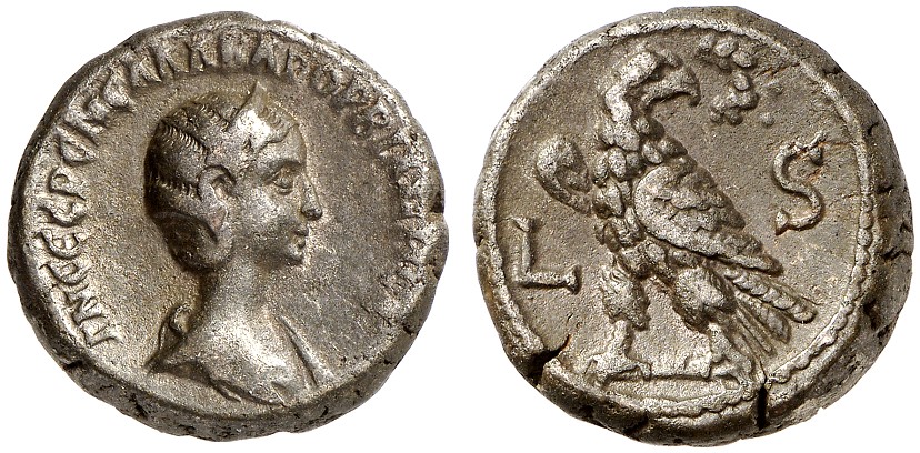 1669932.jpg
