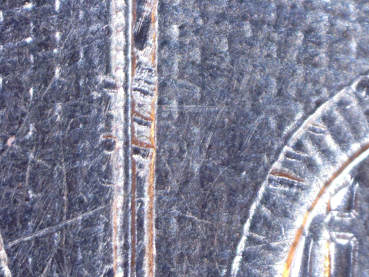 16730151030751.jpg