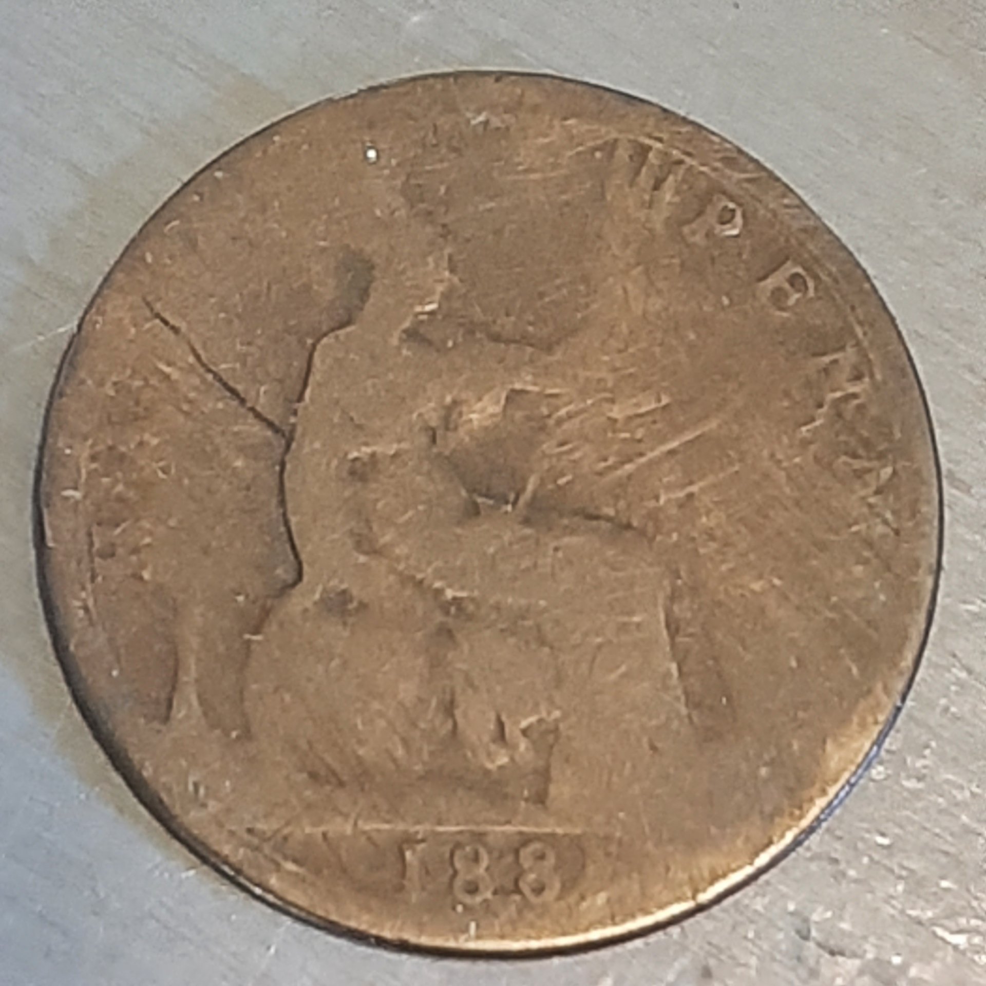 1680897034558415910987181709585.jpg