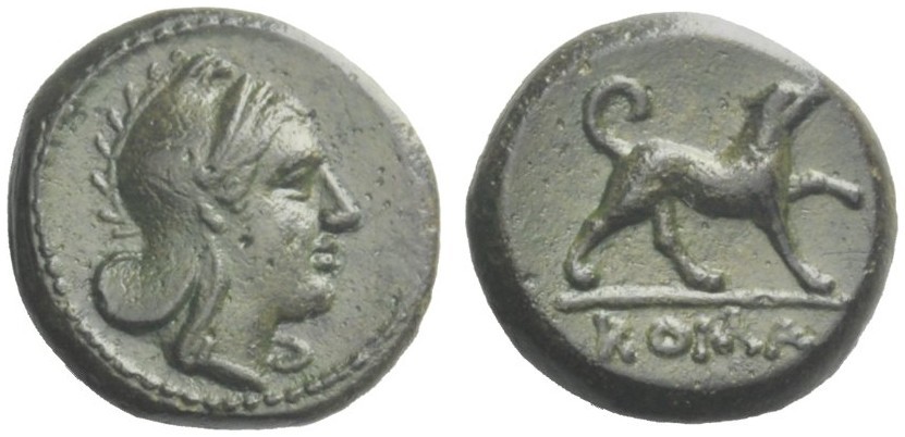 1681141l.jpg