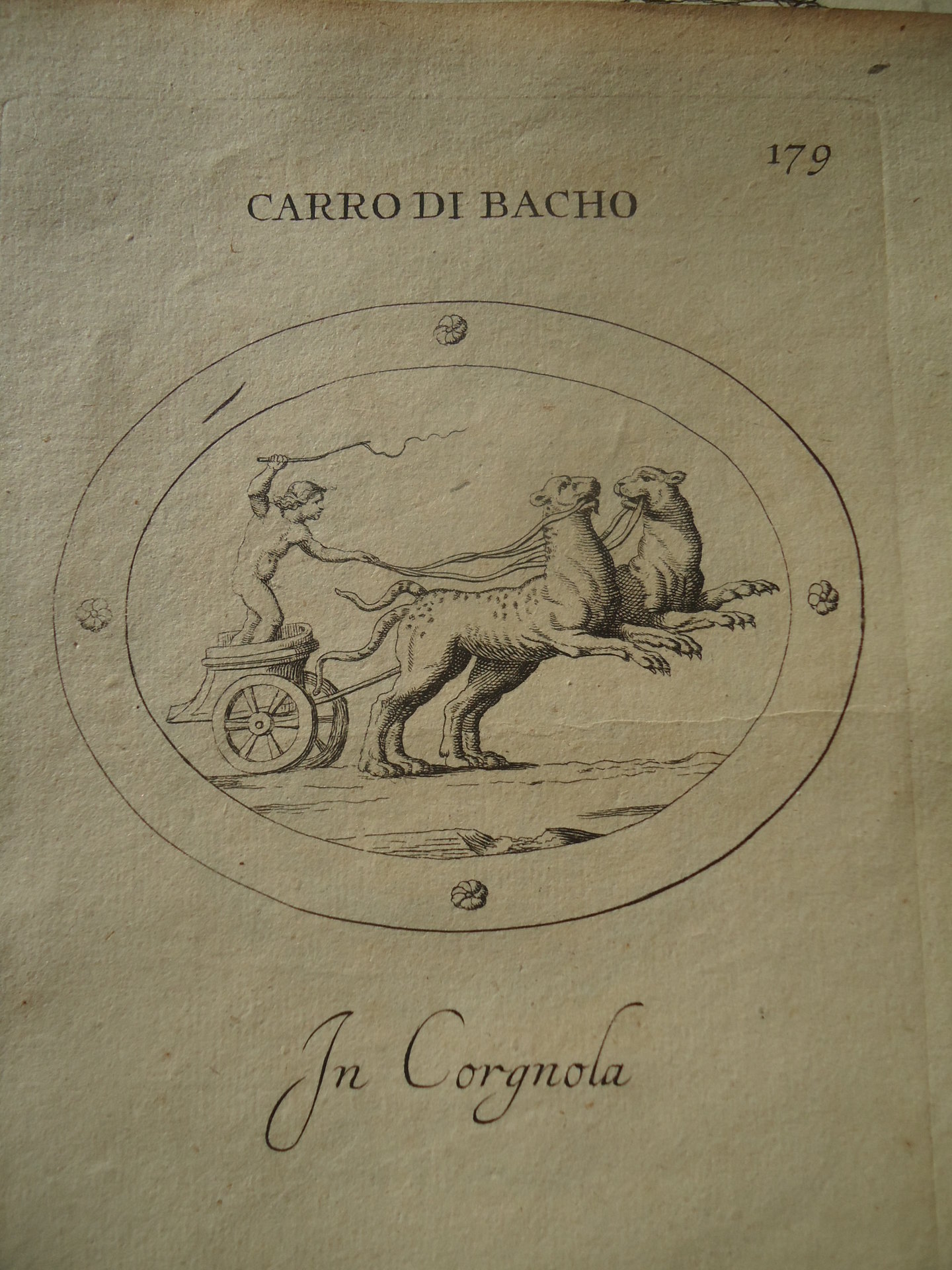 1685 Agonstino Panther Biga.JPG