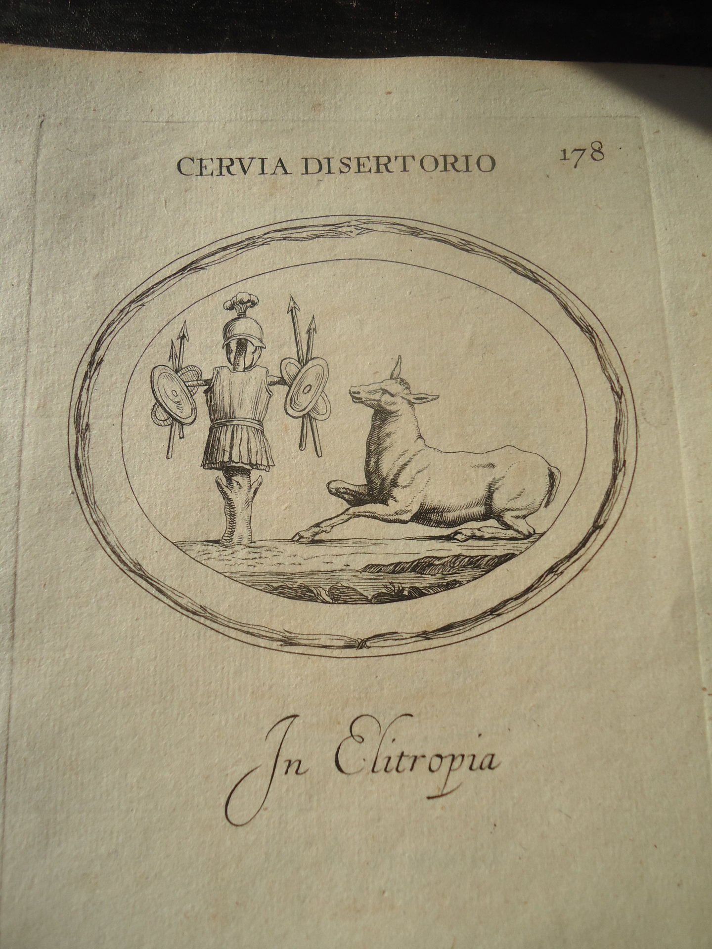 1685 Agonstino Trophy.JPG