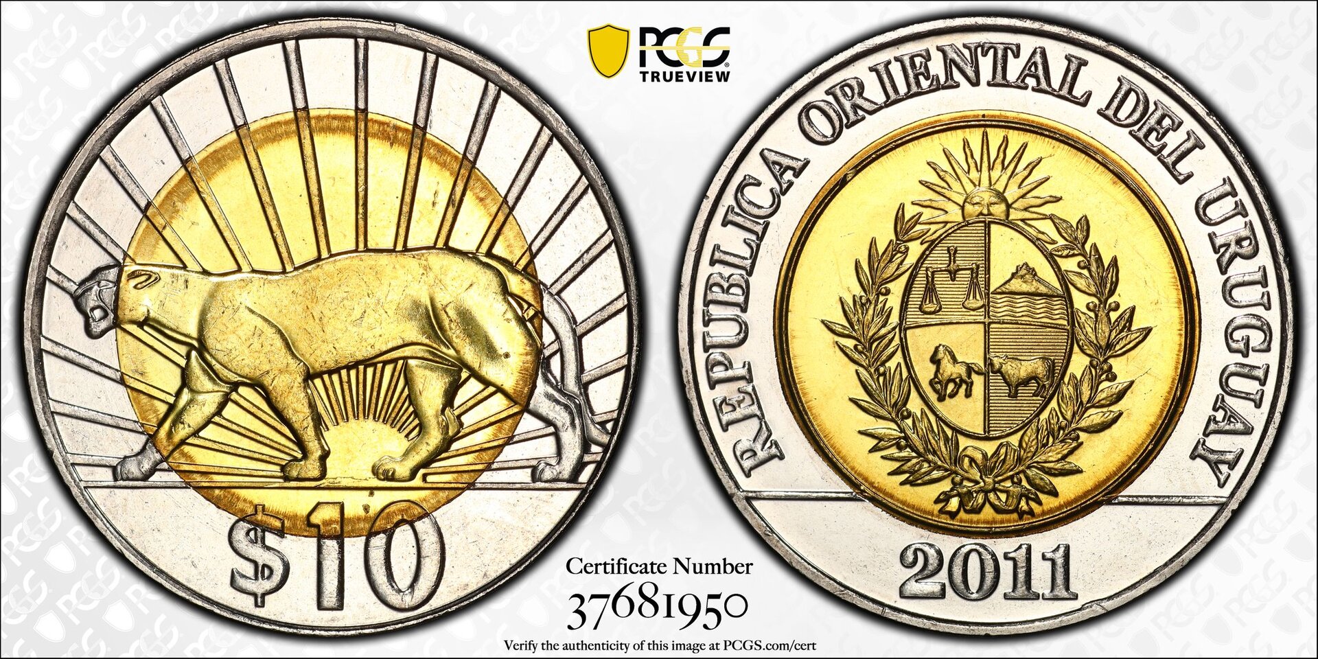 168742657.jpg