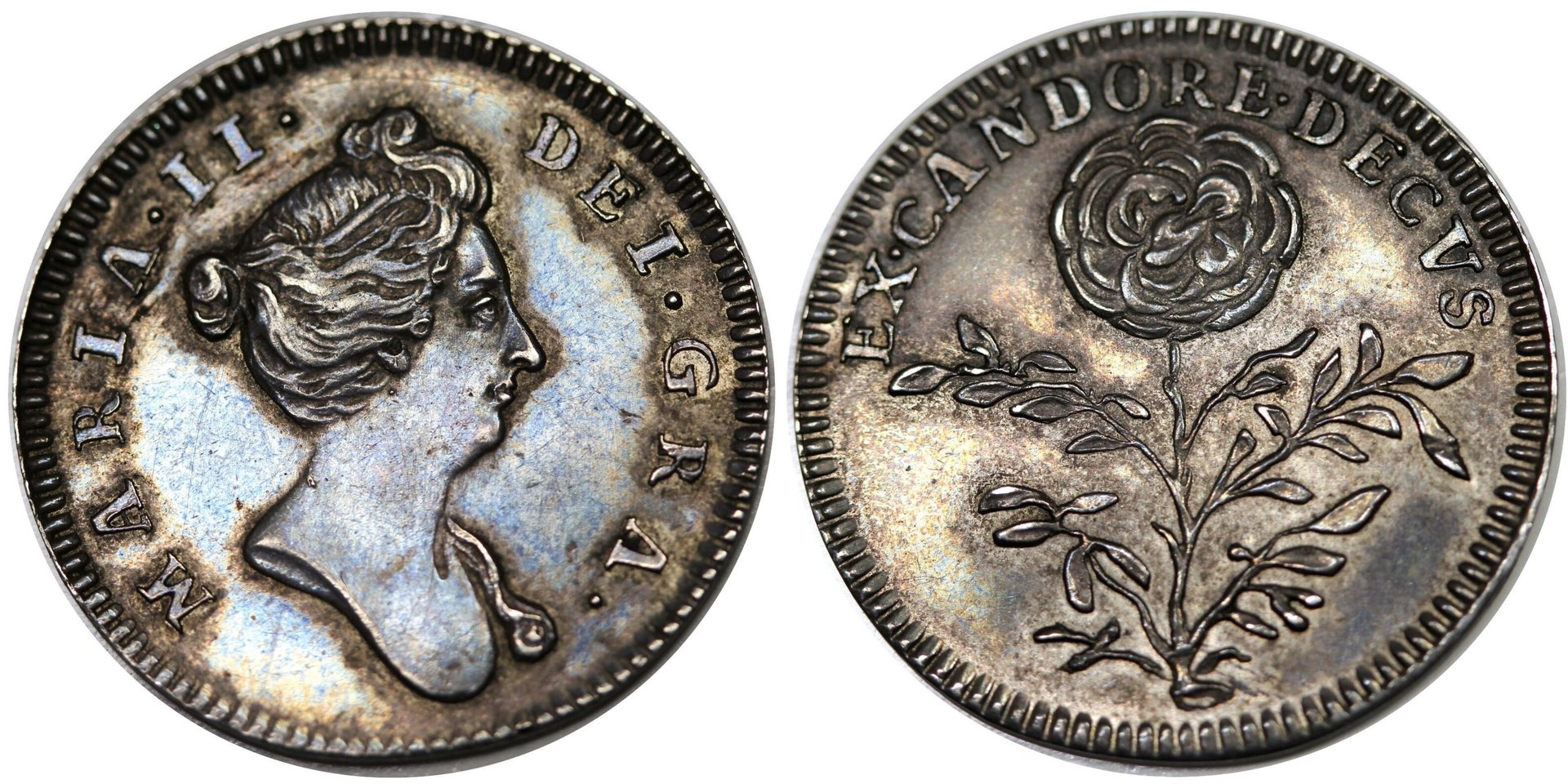 1689 Pattern Farthing.jpg
