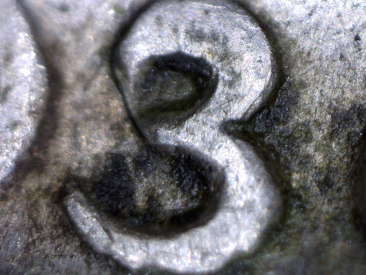 16923205412810.jpg