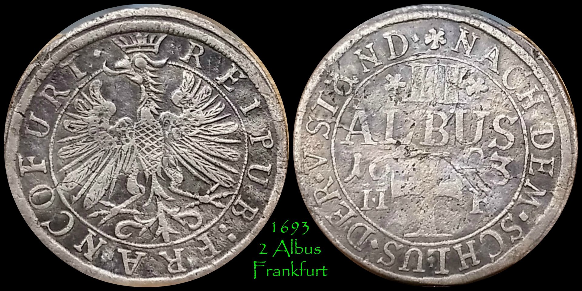 1693 2 Albus.jpg