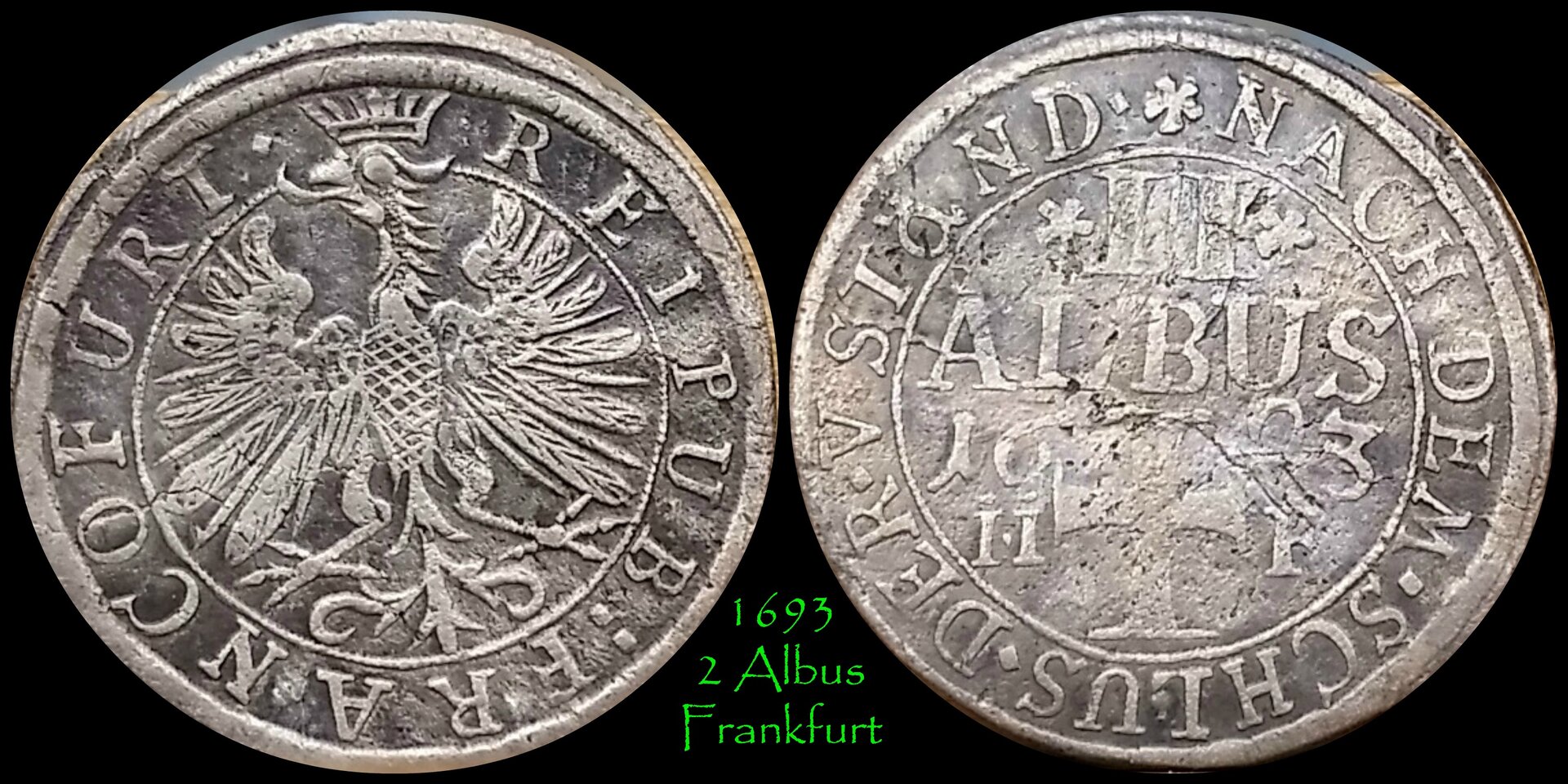 1693 2 Albus.jpg