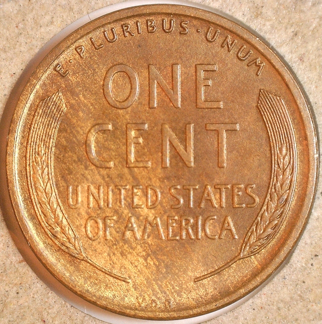 1698132156342.jpg