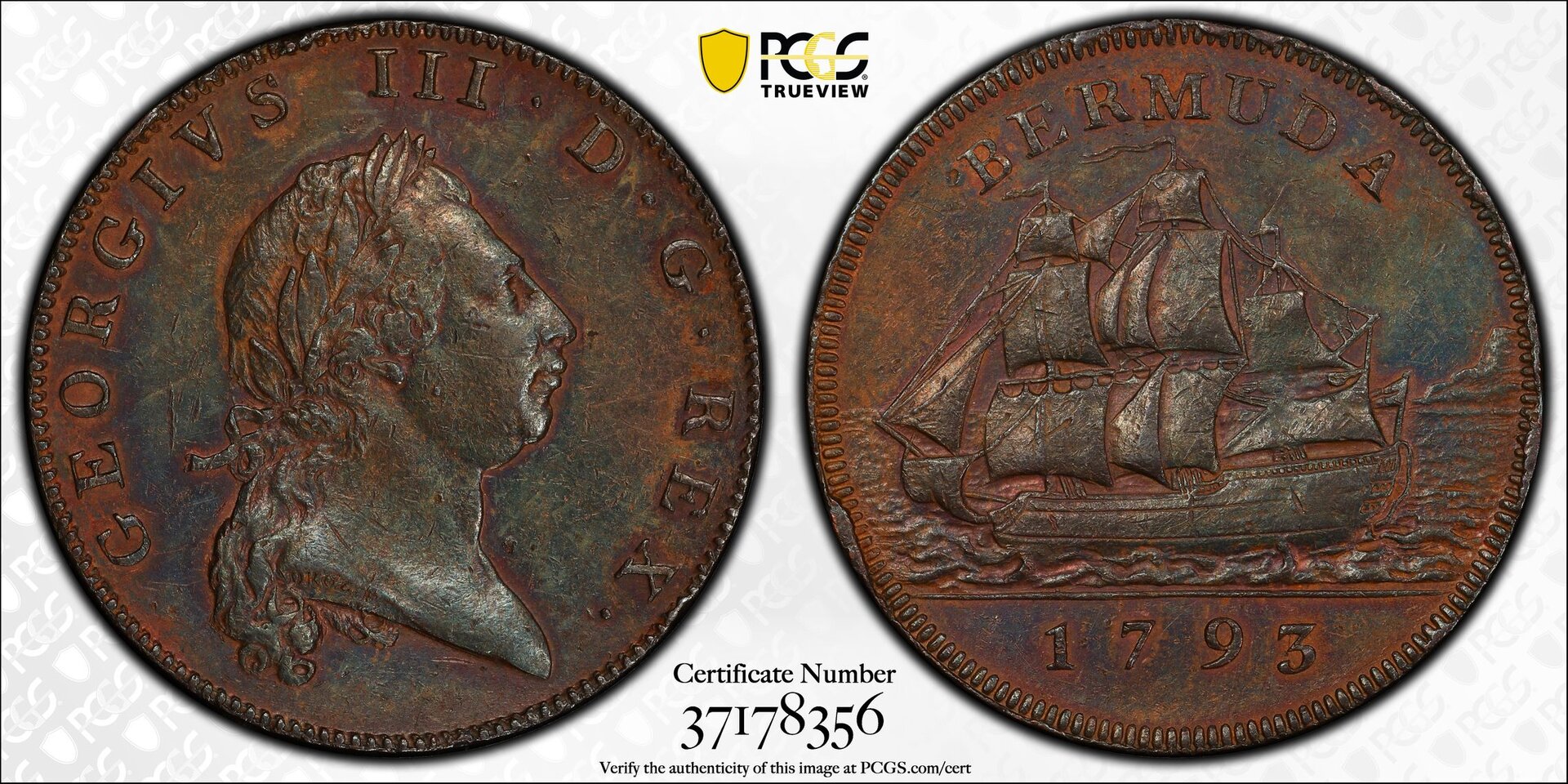 169984029.jpg