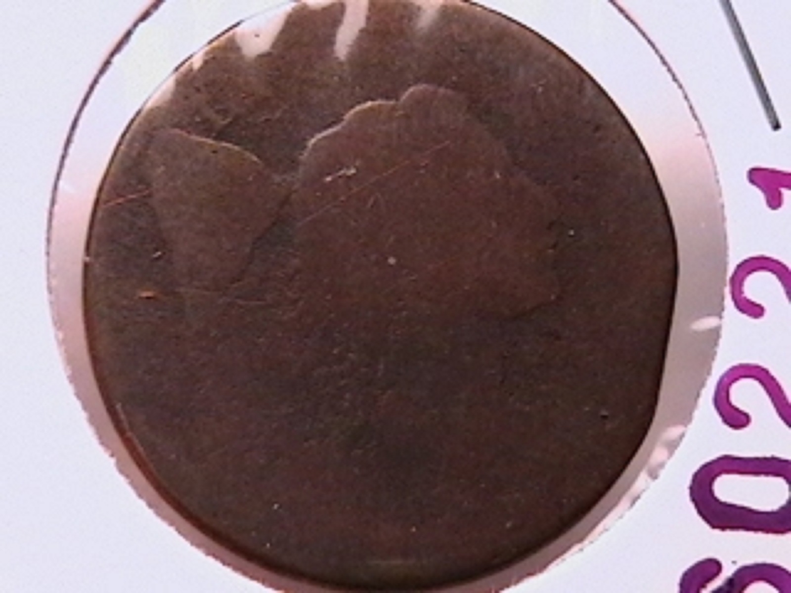 16d.jpg