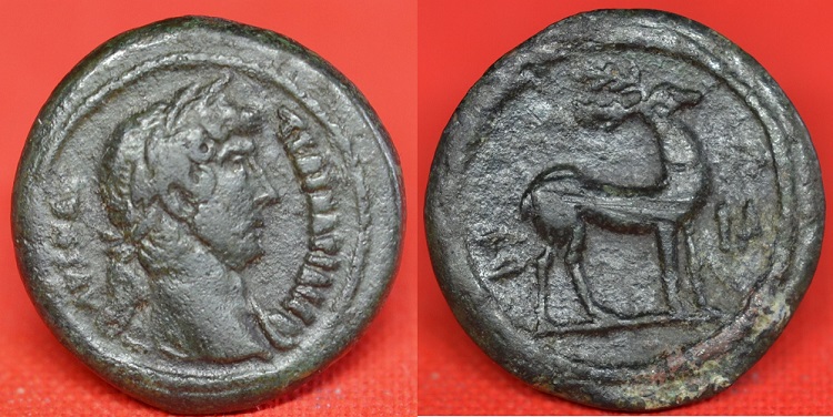 170 P Hadrian .Emmett1169.11.jpg